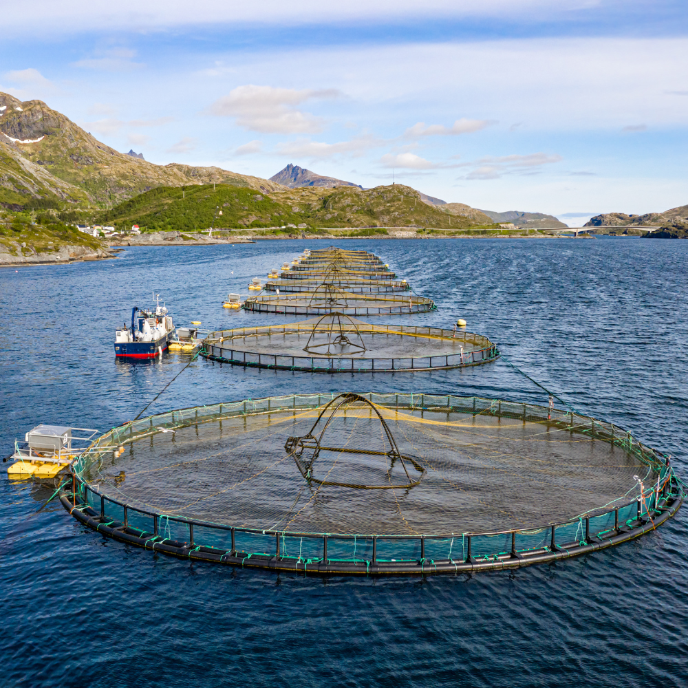 Aquaculture